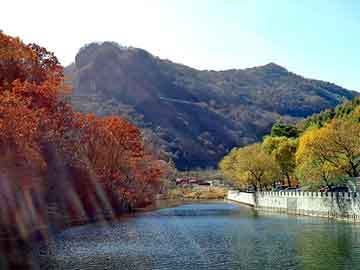 新澳天天开奖资料大全旅游团，东芝投影机维修